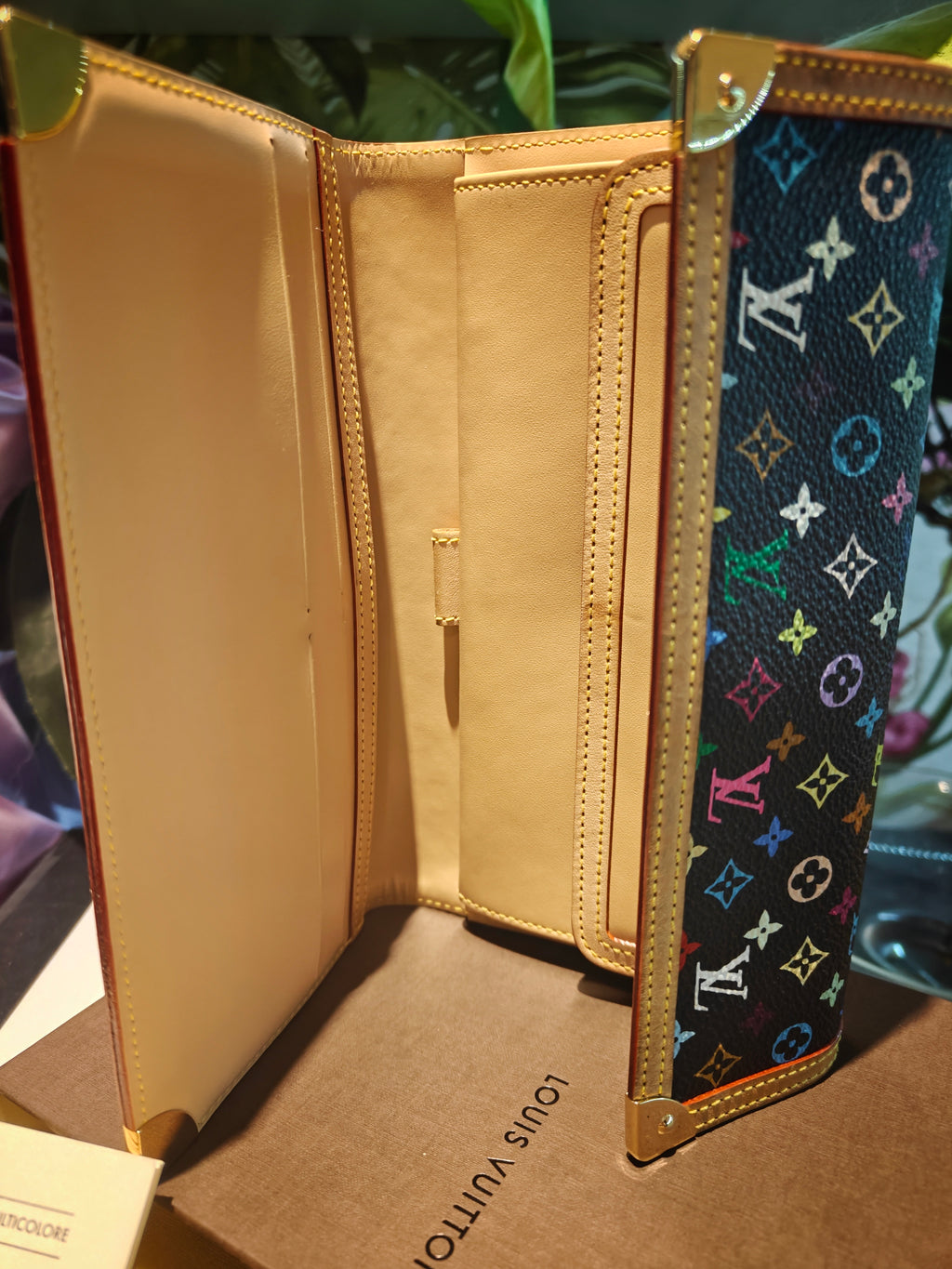 Louis Vuitton Multicolor Wallet