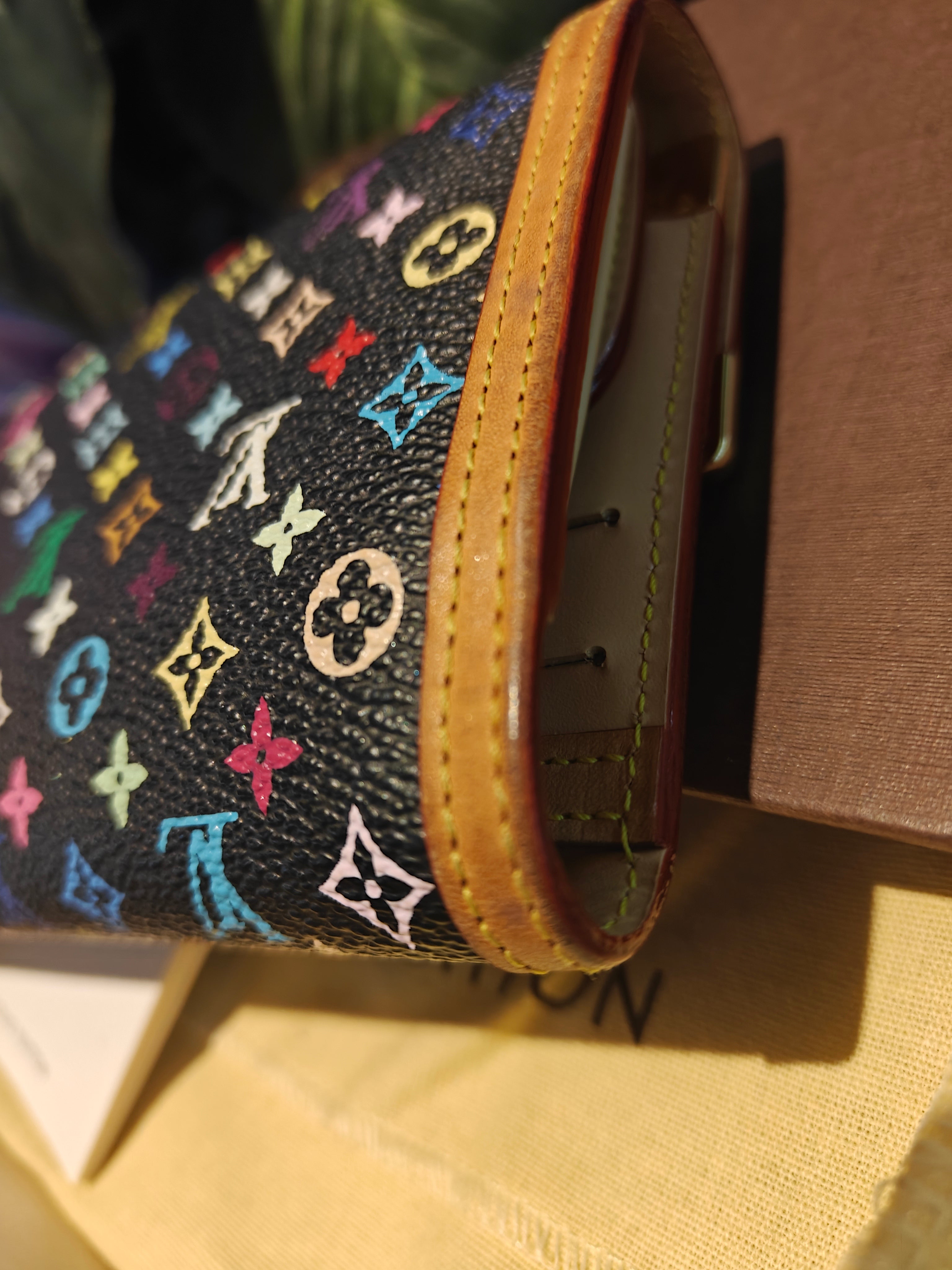 Louis Vuitton Multicolor Wallet